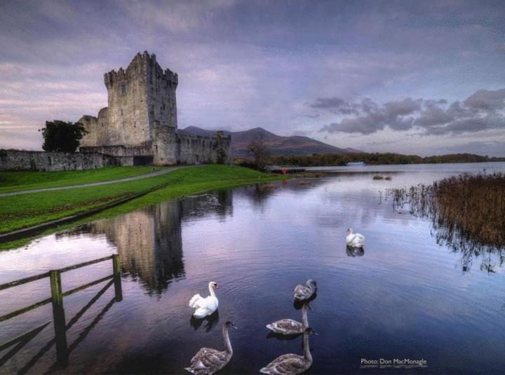 Kathleens Country House Lower Coolcorcoran Luaran gambar