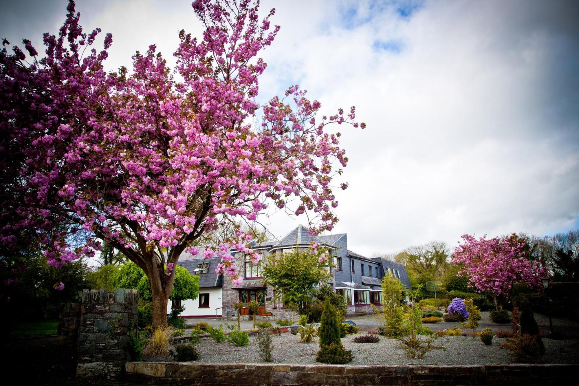Kathleens Country House Lower Coolcorcoran Luaran gambar