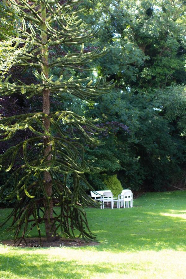 Kathleens Country House Lower Coolcorcoran Luaran gambar